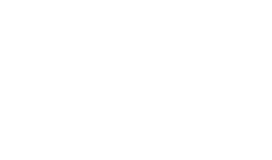 Pmg pacific motor group nz