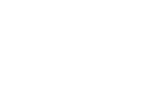 PMG Pacific Motor Group NZ